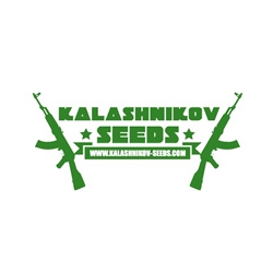 Kalasnikov Seeds
