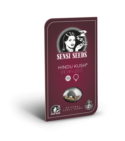 SENSI SEEDS - Hindu Kush