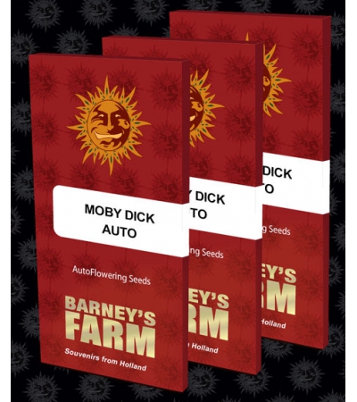 BARNEY'S FARM - Moby Dick Auto